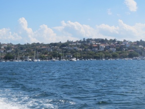 Rose Bay from the ferry